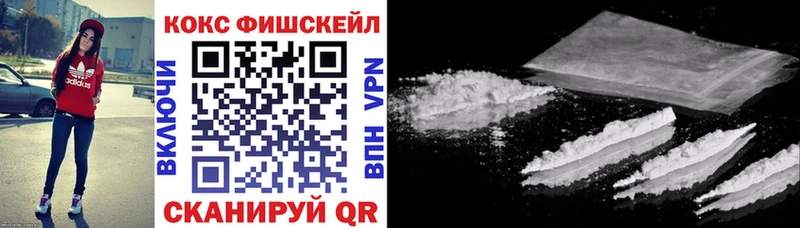 Кокаин Fish Scale  продажа наркотиков  Рудня 