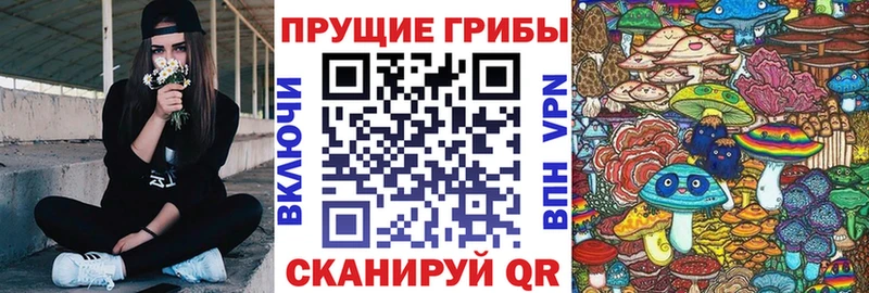 Псилоцибиновые грибы Magic Shrooms  Рудня 